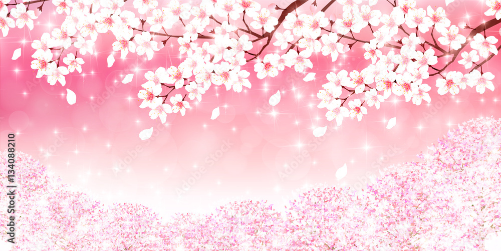 桜 春 花 背景 桜 春 花 背景
