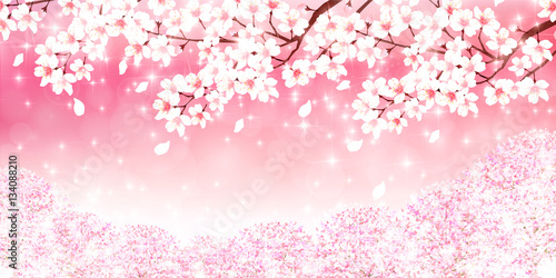 桜　春　花　背景