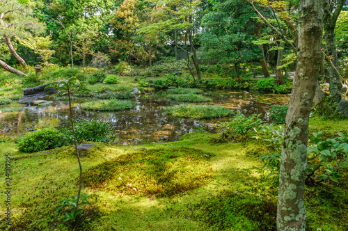 japanese landscape - murinan - kyoto © rollingmaster