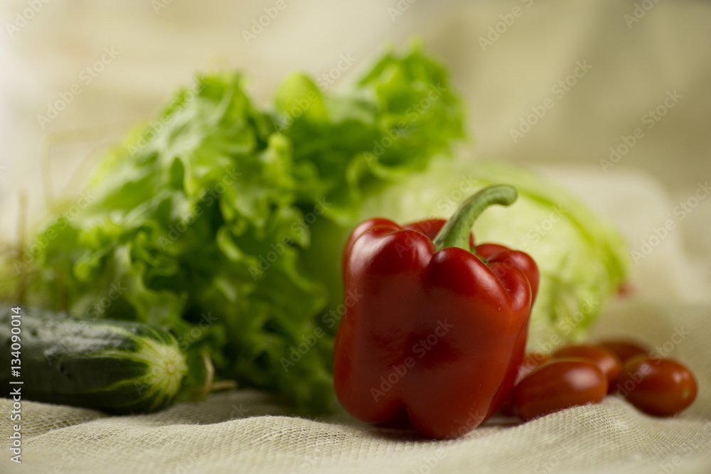 Tomato, bell pepper, cucumber ,lettuce Tomato, bell pepper, cucumber ,lettuce