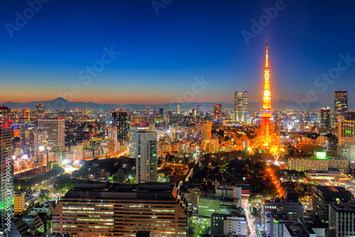 Photography Tokyo city view visible on the horizon
