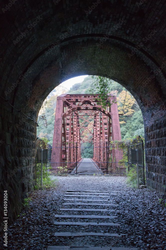 Naklejka premium Railway bridge in woods with colorful foliage.
