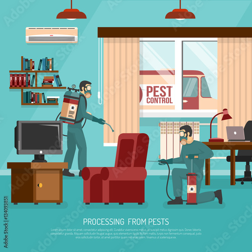 Interior Pest Control Treatment Flat Advertisement Poster