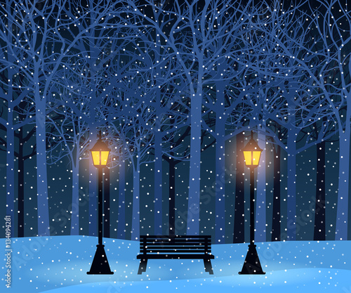 Winter park and outdoor landscape with bench, trees, streetlamps