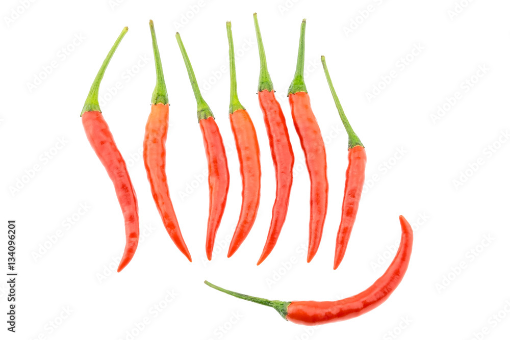 Red bird chili isolated on white background. Red bird chili isolated on white background.
