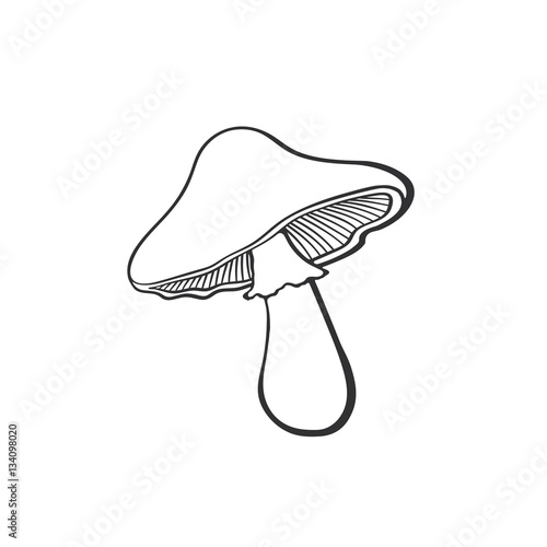 Doodle of mushroom