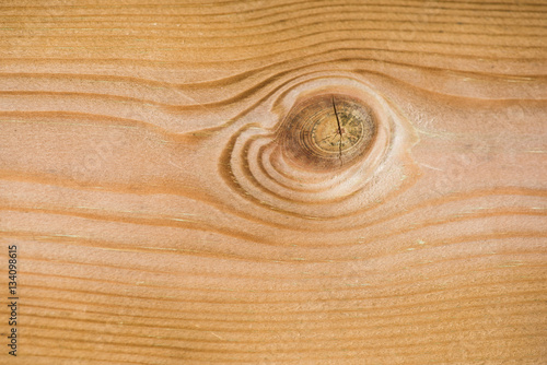 knots in wood