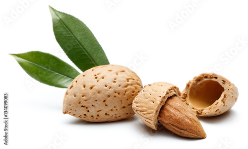 Almond nut isolated