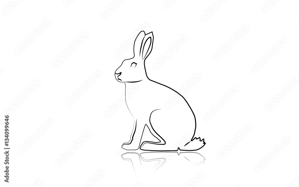 Hare Hare