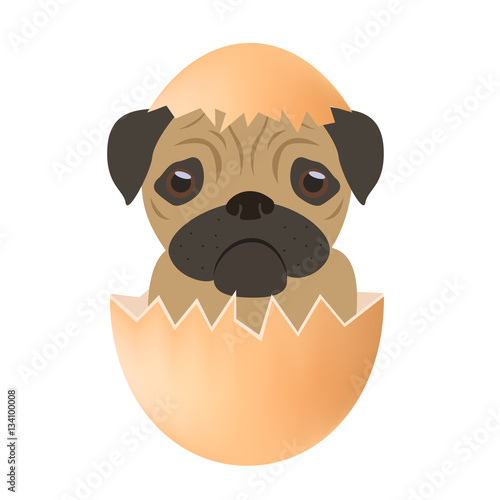 dog egg vector
