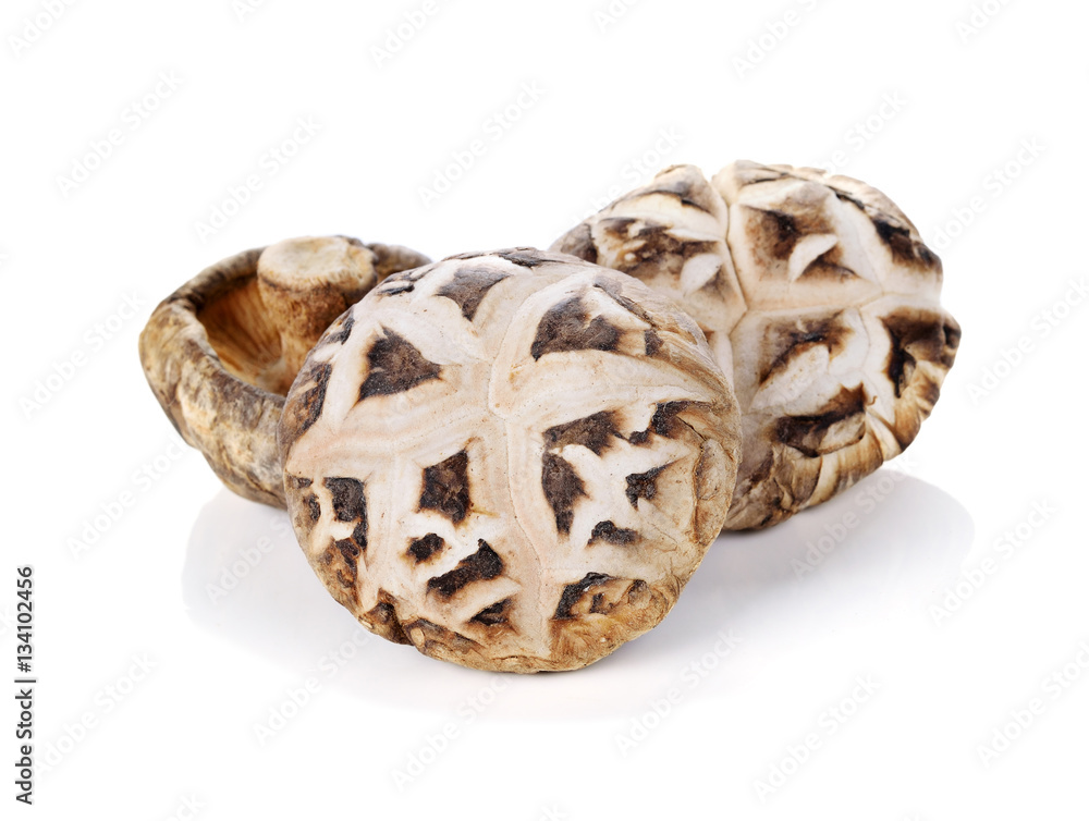 Dried shiitake mushrooms isolated on white background Dried shiitake mushrooms isolated on white background