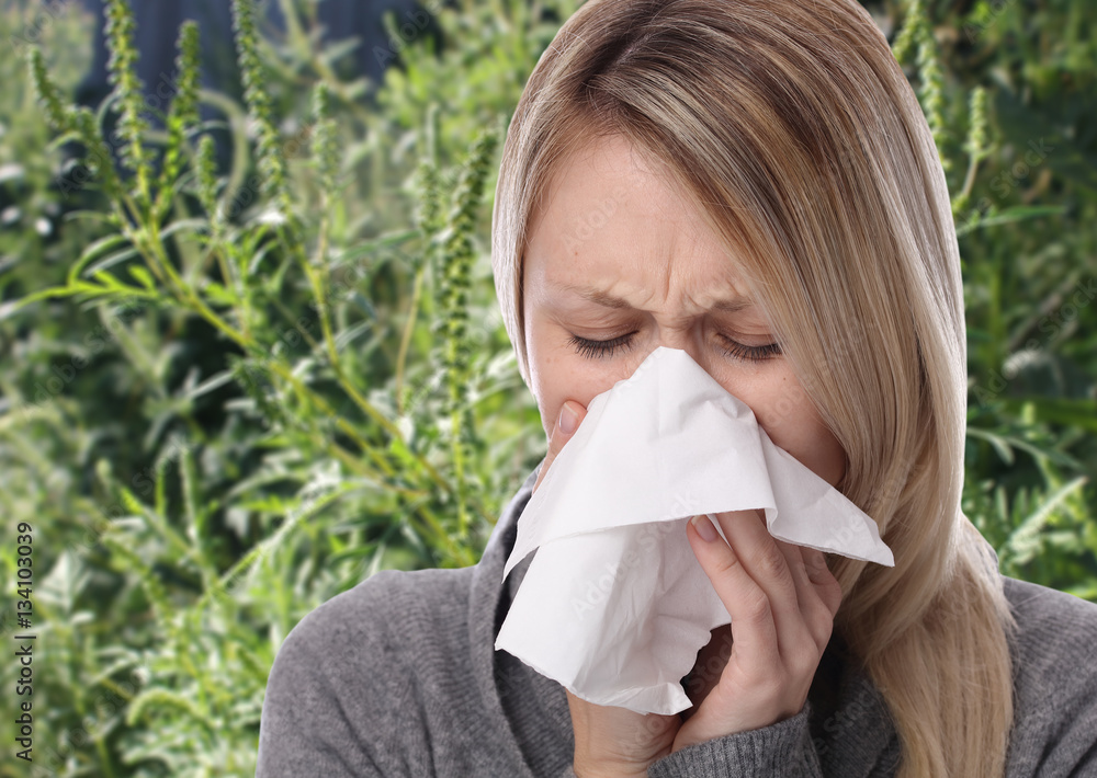 Pollen allergy, ambrosia artemisiifolia summer. Women sneezing in a tissue Pollen allergy, ambrosia artemisiifolia summer. Women sneezing in a tissue
