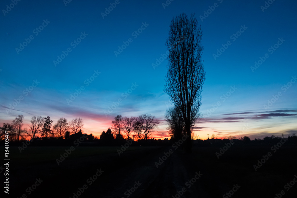 Colorful epic sunset and house and tree silhouette Colorful epic sunset and house and tree silhouette