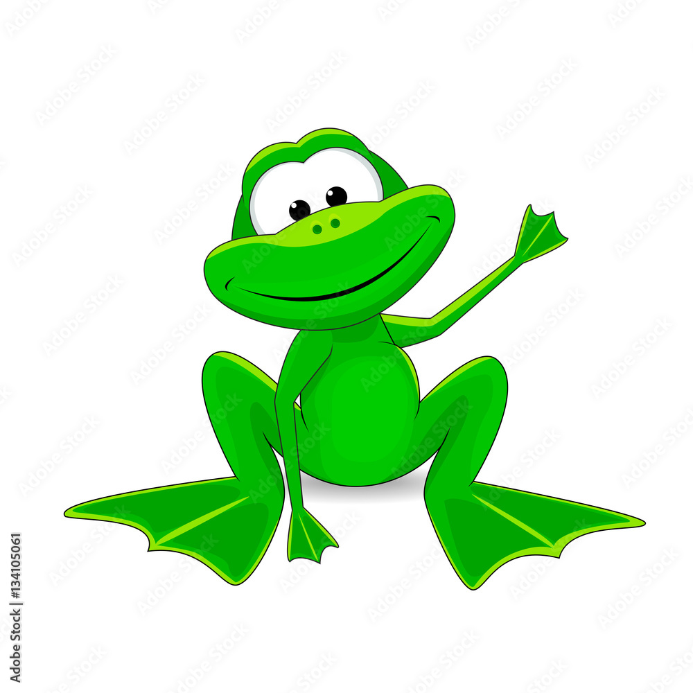 Fototapeta premium Frog. Little green frog