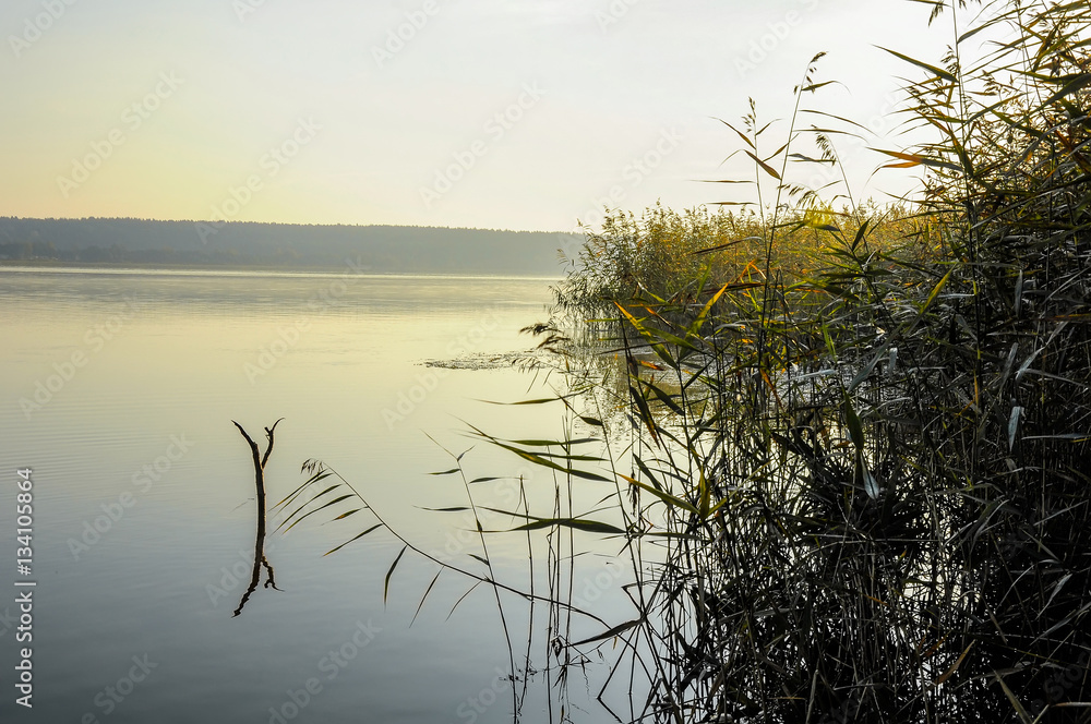 Obraz premium Foggy autumn sunrise