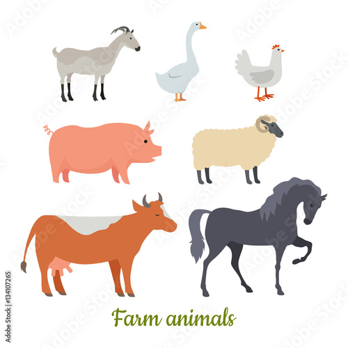 Farm Animals Set. Stickers for Children. Vector