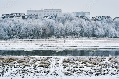 frosted trees on the river Warta in Poznan. photo