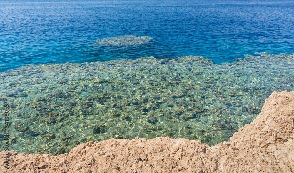 Clear turquoise sea with corals and reefs on a summer day