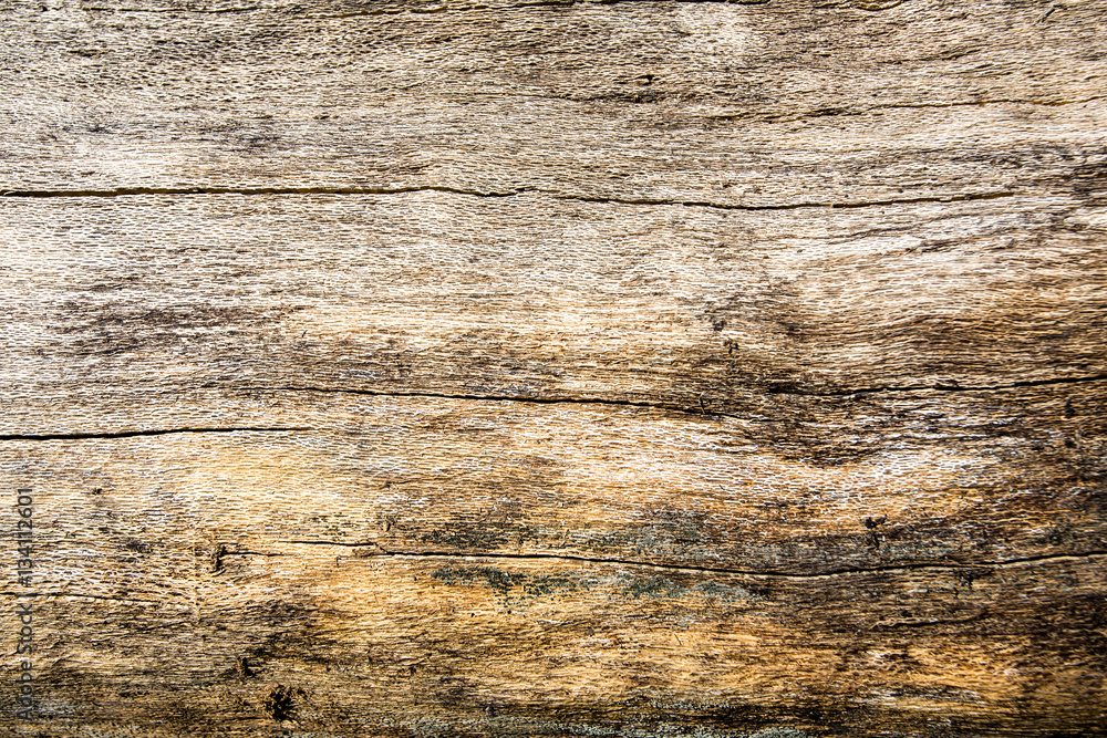 Naklejka premium old bark