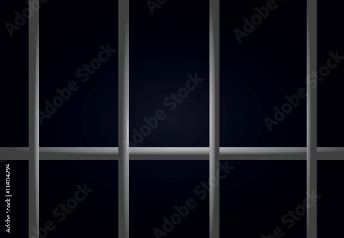 Prison bars vector