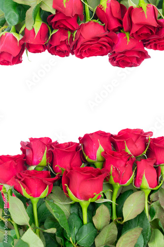 Bouquet of dark red rose buds frame isolated on white background