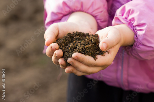 a handful of arable soil in the hands of a child