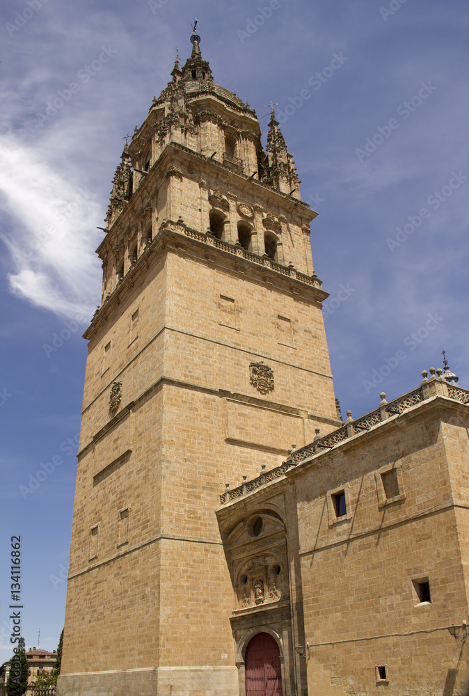 Tower of the Cathedral of Salamanca, Spain