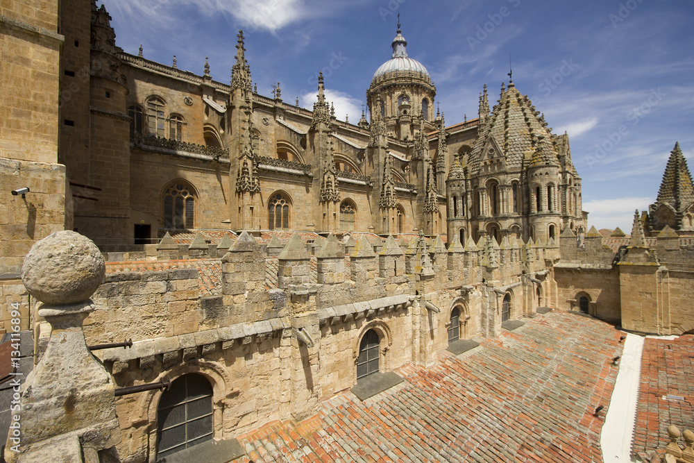 Old Cathedral of Salamanca, Spain