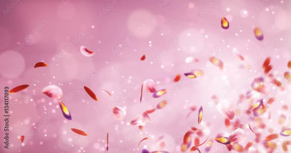 Flying Blurry Romantic Red Pink Purple sakura Flower Petals Placeholder For St. Valentine's Day, Mother's Day, wedding anniversary greeting cards, wedding invitation or birthday e-card Loop 4k Flying Blurry Romantic Red Pink Purple sakura Flower Petals Placeholder For St. Valentine's Day, Mother's Day, wedding anniversary greeting cards, wedding invitation or birthday e-card Loop 4k