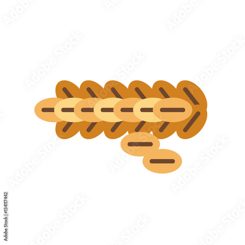 Kopi Luwak vector icon