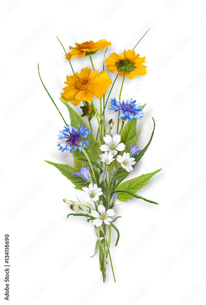 bouquet of the field (wild) flowers, easter colors, isolated