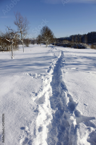 winter snow landscape nature © henryn0580