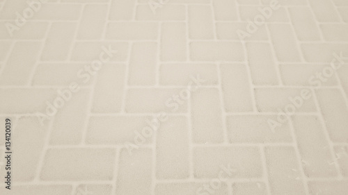 Small paving tiles of a pavement covered by snow