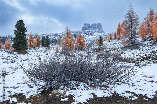 Mount Sass de Stria, Falzarego path, Dolomites photo