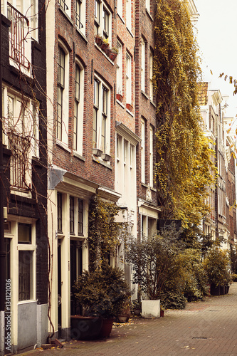 Fototapeta Naklejka Na Ścianę i Meble -  Beautiful street with houses decorated with plants in the capital of the Netherlands - Amsterdam. European-style housing.