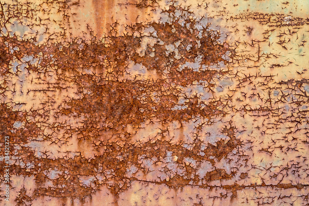 Texture of a rusty door.