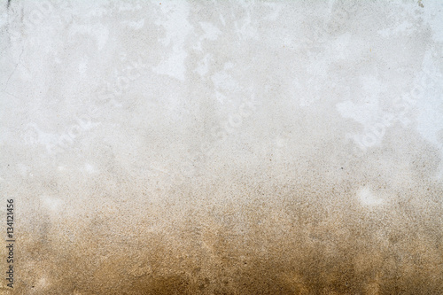 Texture of a mold wall.