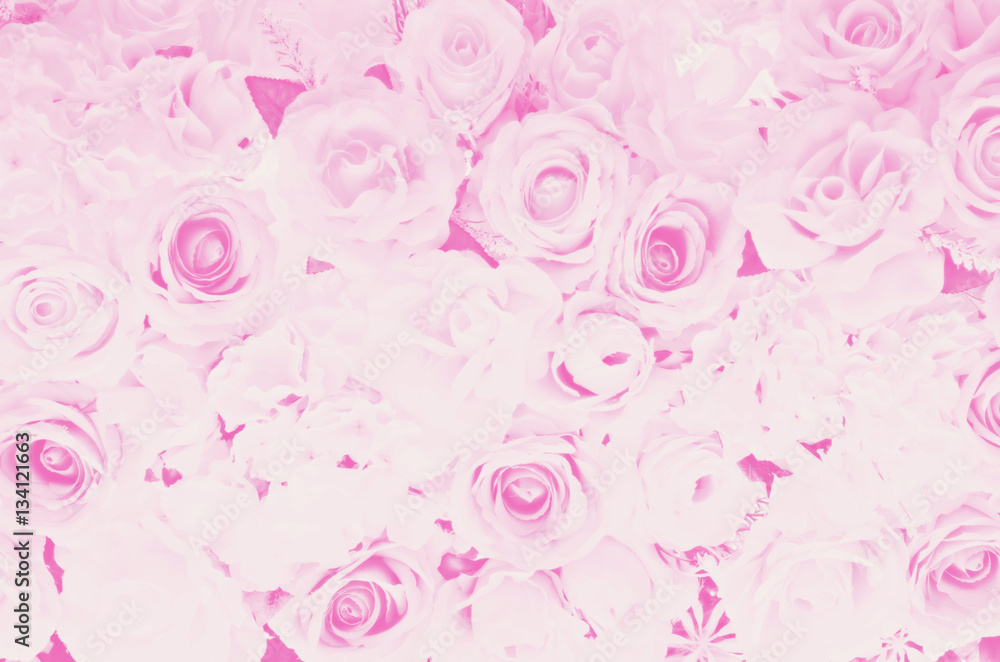 Blurred of sweet roses in pastel color style on soft blur bokeh Blurred of sweet roses in pastel color style on soft blur bokeh
