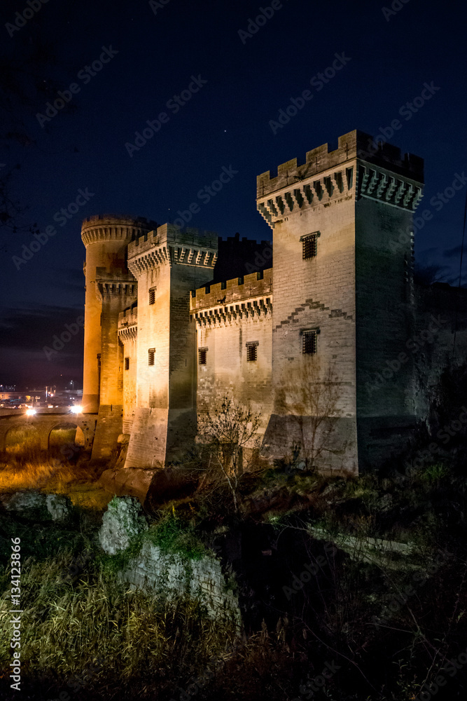 Le château Médiéval de Tarascon, centre d'arts René d'Anjou, de nuit