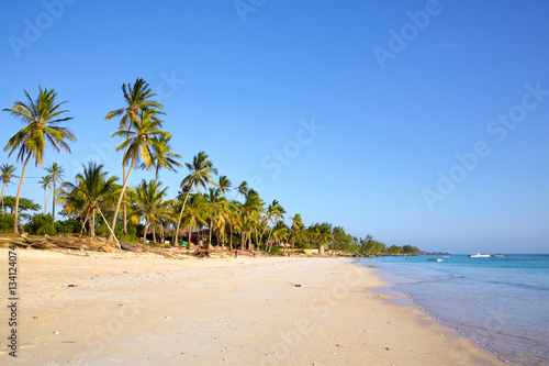 Sand beach with palm trees, Kizimkazi, Zanzibar