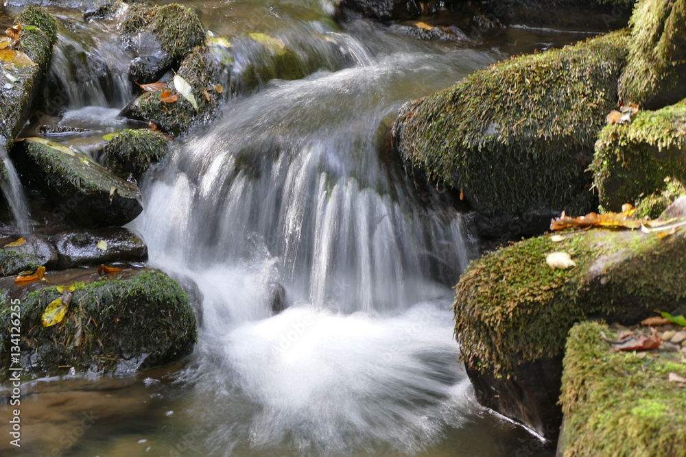 rivulet and his small waterfall