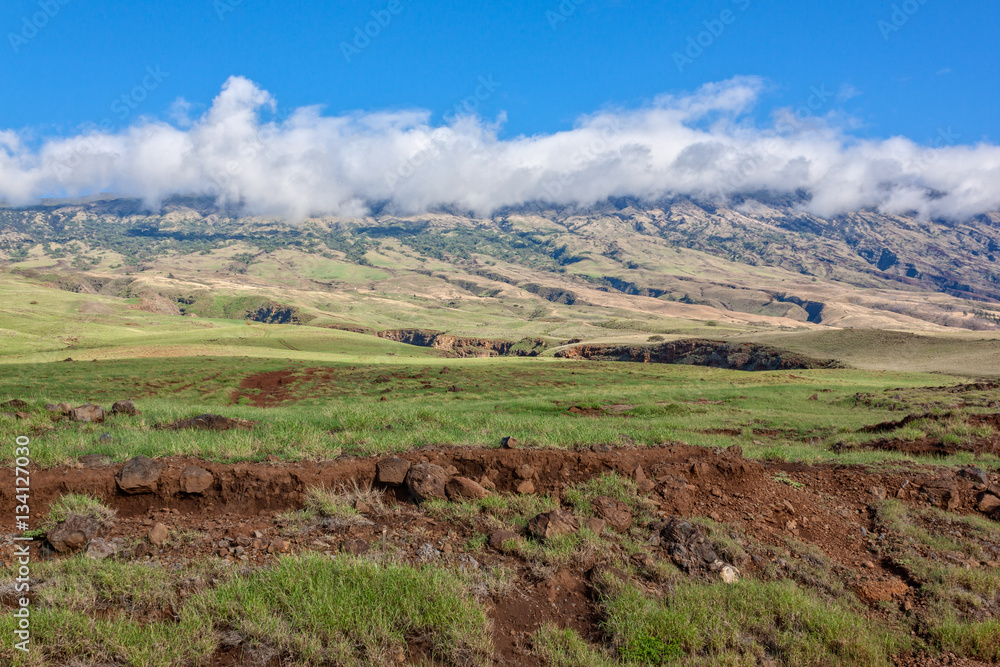 Haleakala Landscape from the Hana Highway Maui