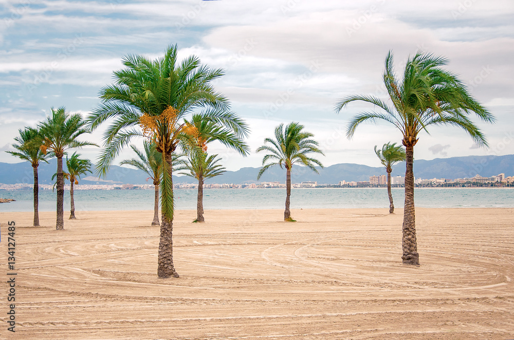 Obraz premium Tropical beach with palm trees
