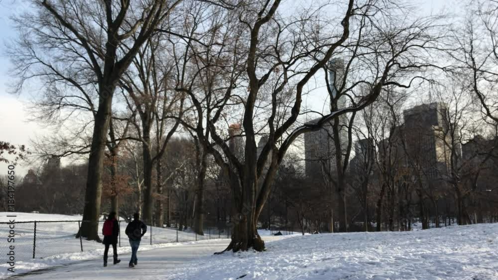 Walk in Central park with snow, New York, 4K Walk in Central park with snow, New York, 4K