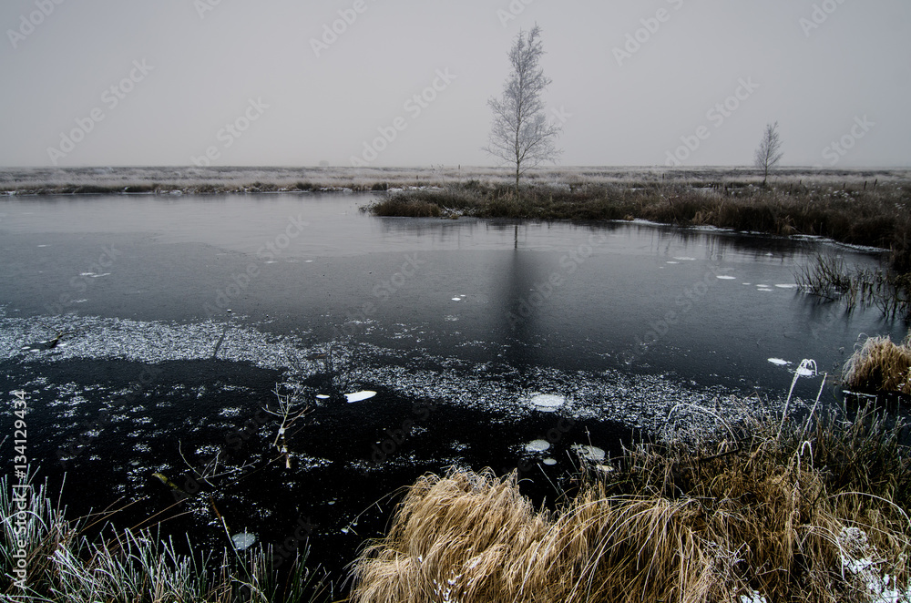 Obraz premium Gefrorener See mit Baum im Hintergrund