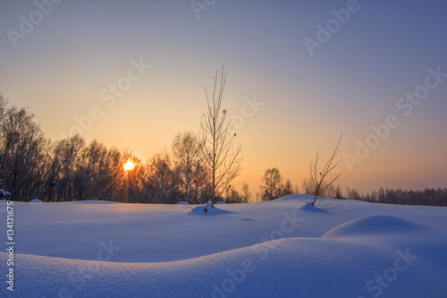 Background with winter landscape of trees and sun