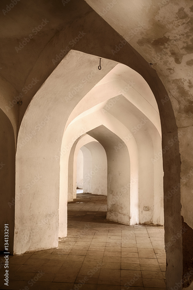 Naklejka premium Arches In The Man Singh Palace