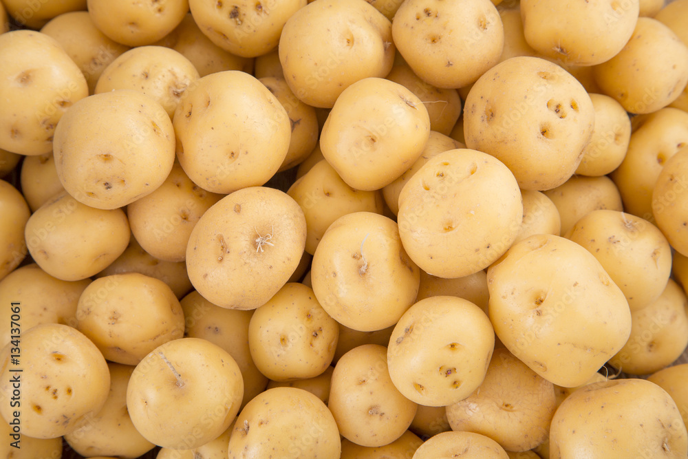 Yellow potato (Solanum phureja) Stock Photo | Adobe Stock