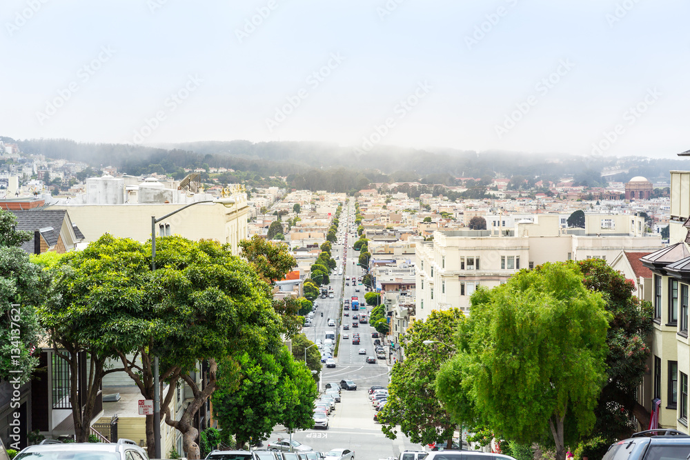 Road with trees and buildings at San Francisco