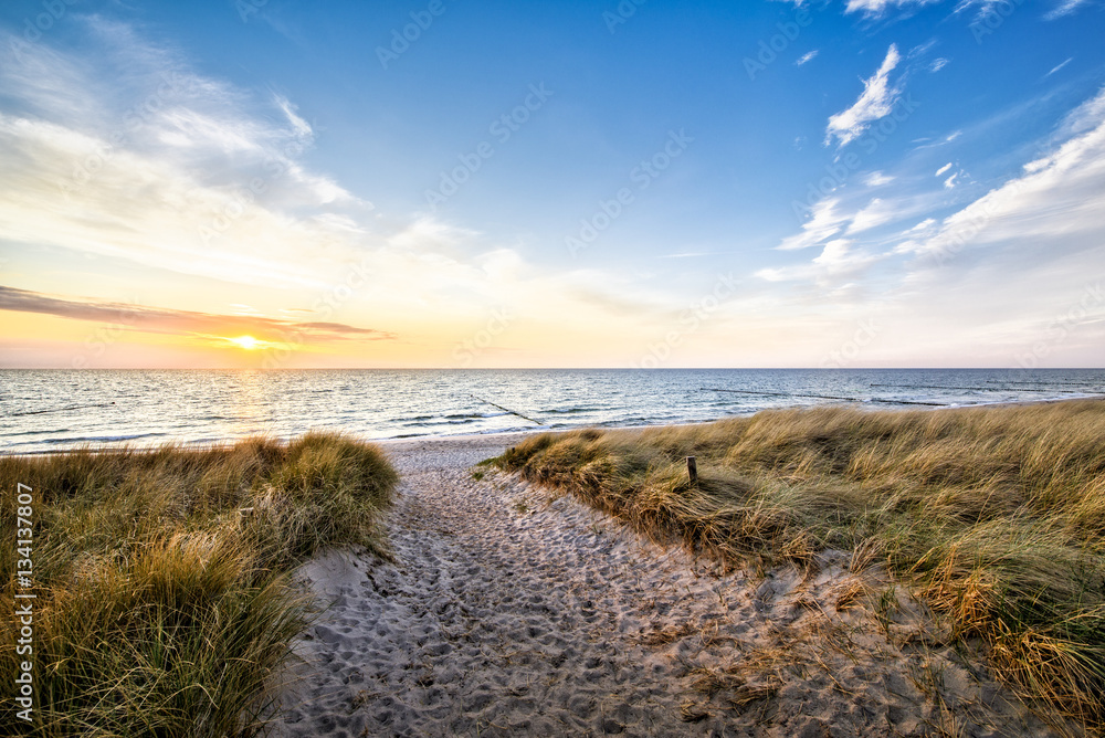 Weg zum Strand durch die Dünen